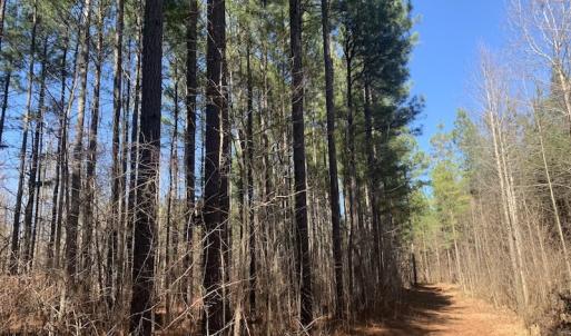 Photo #31 of SOLD property in Off Peninsula Lane, Bullock, NC 68.0 acres