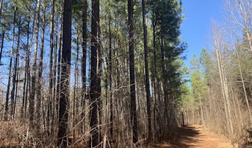 Photo #31 of SOLD property in Off Peninsula Lane, Bullock, NC 68.0 acres