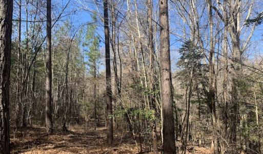 Photo #36 of SOLD property in Off Peninsula Lane, Bullock, NC 68.0 acres