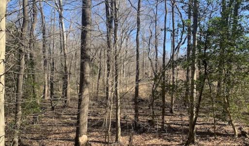 Photo #37 of SOLD property in Off Peninsula Lane, Bullock, NC 68.0 acres