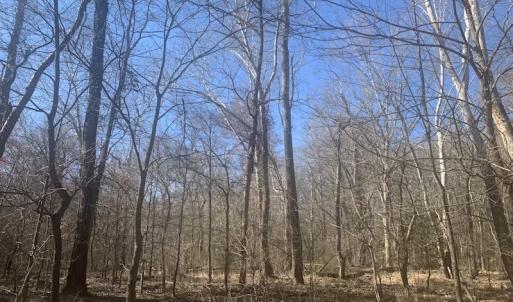 Photo #38 of SOLD property in Off Peninsula Lane, Bullock, NC 68.0 acres