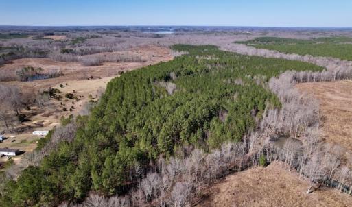 Photo #3 of SOLD property in Off Peninsula Lane, Bullock, NC 68.0 acres
