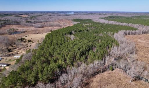Photo #3 of SOLD property in Off Peninsula Lane, Bullock, NC 68.0 acres