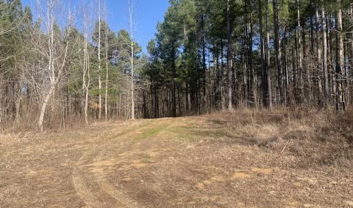 Photo #40 of SOLD property in Off Peninsula Lane, Bullock, NC 68.0 acres