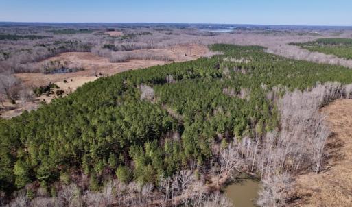 Photo #4 of SOLD property in Off Peninsula Lane, Bullock, NC 68.0 acres