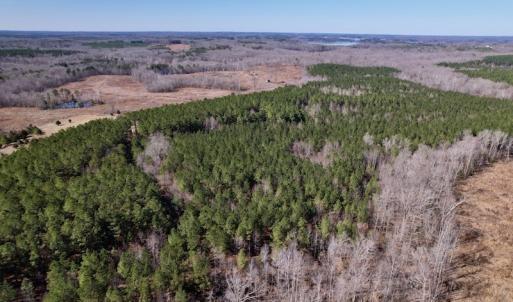 Photo #5 of SOLD property in Off Peninsula Lane, Bullock, NC 68.0 acres