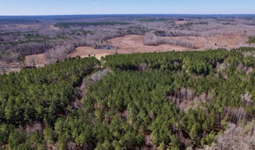 Photo #6 of SOLD property in Off Peninsula Lane, Bullock, NC 68.0 acres