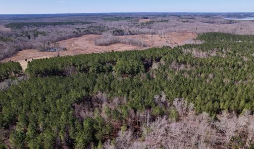 Photo #7 of SOLD property in Off Peninsula Lane, Bullock, NC 68.0 acres