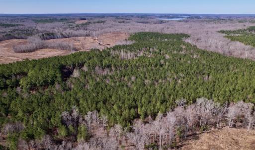 Photo #8 of SOLD property in Off Peninsula Lane, Bullock, NC 68.0 acres