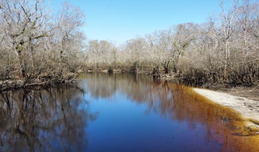 Photo #12 of SOLD property in Off Waccamaw Lane, Longs, SC 142.2 acres