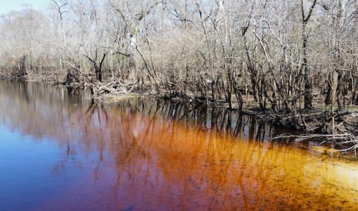 Photo #13 of SOLD property in Off Waccamaw Lane, Longs, SC 142.2 acres
