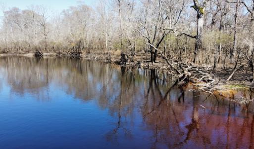 Photo #14 of SOLD property in Off Waccamaw Lane, Longs, SC 142.2 acres