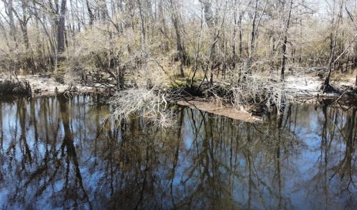 Photo #15 of SOLD property in Off Waccamaw Lane, Longs, SC 142.2 acres