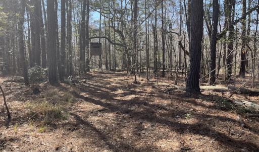 Photo #5 of SOLD property in Off Waccamaw Lane, Longs, SC 142.2 acres