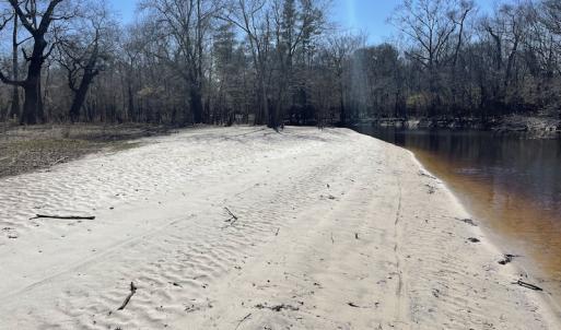 Photo #22 of SOLD property in Off Waccamaw Lane, Longs, SC 142.2 acres