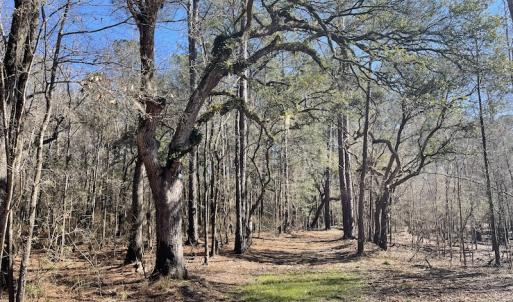 Photo #26 of SOLD property in Off Waccamaw Lane, Longs, SC 142.2 acres