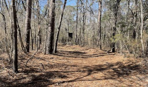 Photo #27 of SOLD property in Off Waccamaw Lane, Longs, SC 142.2 acres