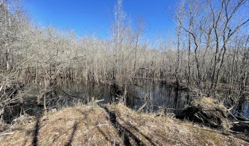 Photo #29 of SOLD property in Off Waccamaw Lane, Longs, SC 142.2 acres