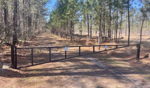Photo #31 of SOLD property in Off Waccamaw Lane, Longs, SC 142.2 acres