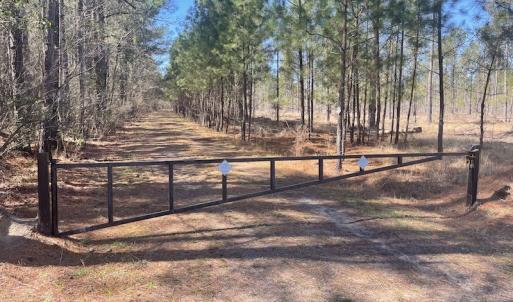 Photo #31 of SOLD property in Off Waccamaw Lane, Longs, SC 142.2 acres