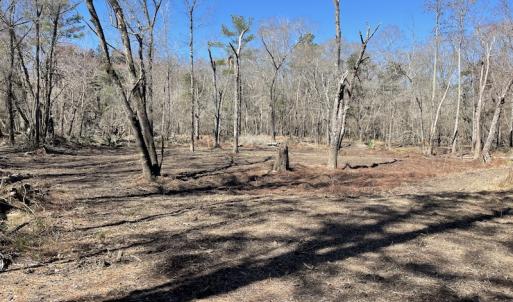 Photo #6 of SOLD property in Off Waccamaw Lane, Longs, SC 142.2 acres