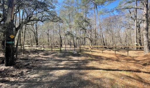 Photo #32 of SOLD property in Off Waccamaw Lane, Longs, SC 142.2 acres