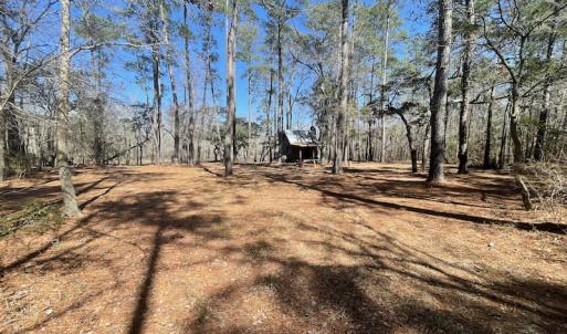 Photo #37 of SOLD property in Off Waccamaw Lane, Longs, SC 142.2 acres