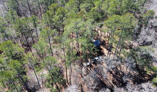 Photo #41 of SOLD property in Off Waccamaw Lane, Longs, SC 142.2 acres