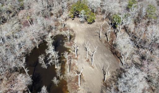 Photo #42 of SOLD property in Off Waccamaw Lane, Longs, SC 142.2 acres