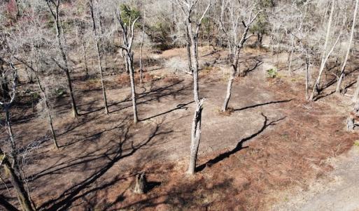 Photo #50 of SOLD property in Off Waccamaw Lane, Longs, SC 142.2 acres