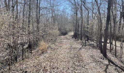 Photo #8 of SOLD property in Off Waccamaw Lane, Longs, SC 142.2 acres
