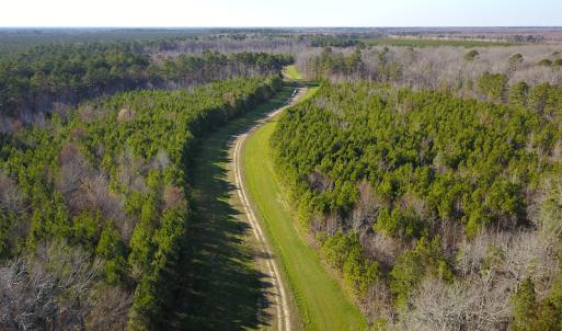 Photo #3 of SOLD property in Off Arrow Lane, Lewiston, NC 225.0 acres