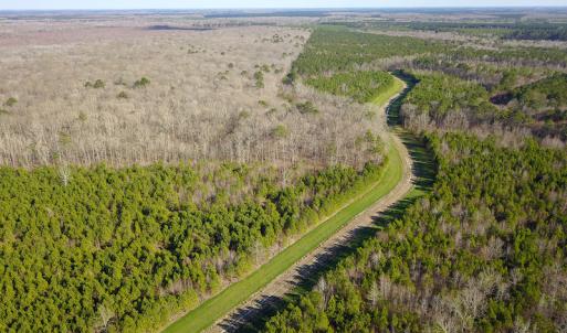 Photo #4 of SOLD property in Off Arrow Lane, Lewiston, NC 225.0 acres