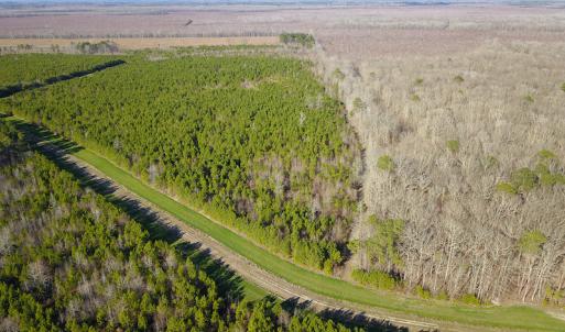 Photo #5 of SOLD property in Off Arrow Lane, Lewiston, NC 225.0 acres