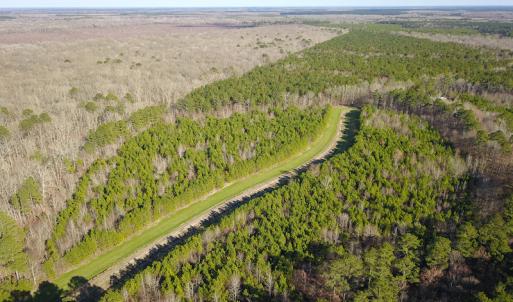 Photo #6 of SOLD property in Off Arrow Lane, Lewiston, NC 225.0 acres