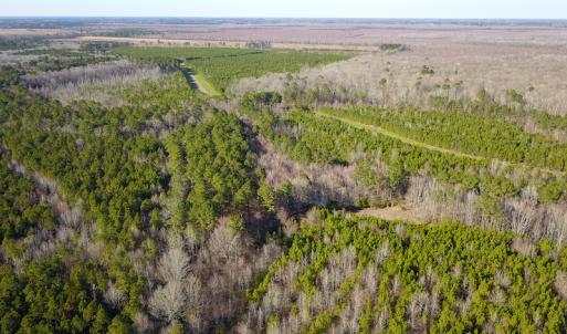 Photo #7 of SOLD property in Off Arrow Lane, Lewiston, NC 225.0 acres