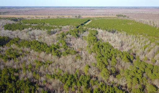 Photo #10 of SOLD property in Off Arrow Lane, Lewiston, NC 225.0 acres