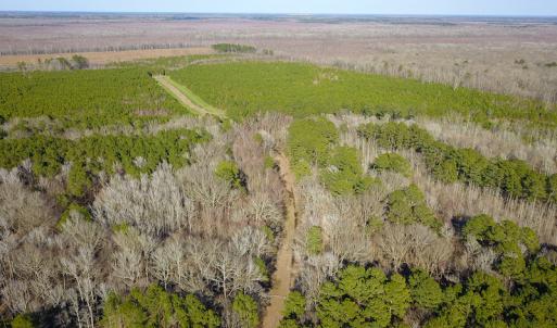 Photo #12 of SOLD property in Off Arrow Lane, Lewiston, NC 225.0 acres