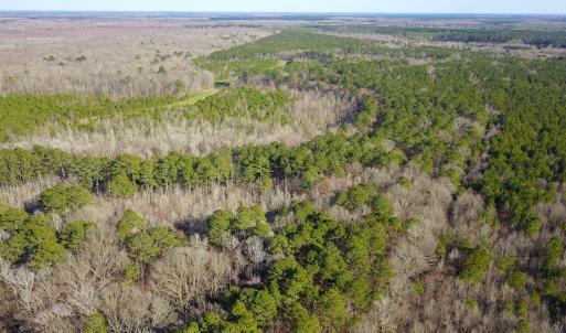 Photo #13 of SOLD property in Off Arrow Lane, Lewiston, NC 225.0 acres