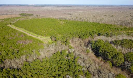 Photo #14 of SOLD property in Off Arrow Lane, Lewiston, NC 225.0 acres
