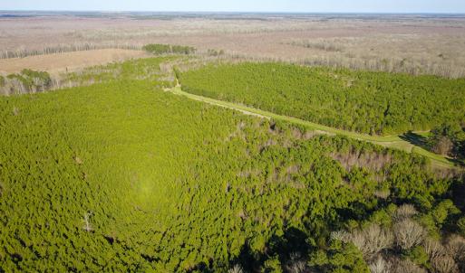 Photo #16 of SOLD property in Off Arrow Lane, Lewiston, NC 225.0 acres