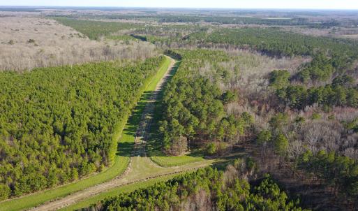 Photo #17 of SOLD property in Off Arrow Lane, Lewiston, NC 225.0 acres