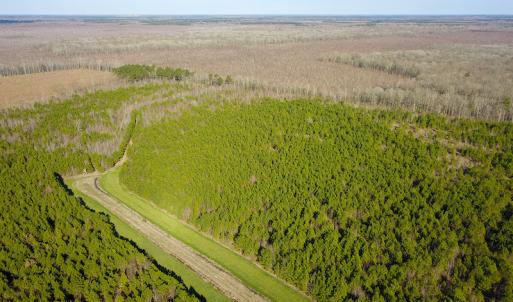 Photo #18 of SOLD property in Off Arrow Lane, Lewiston, NC 225.0 acres