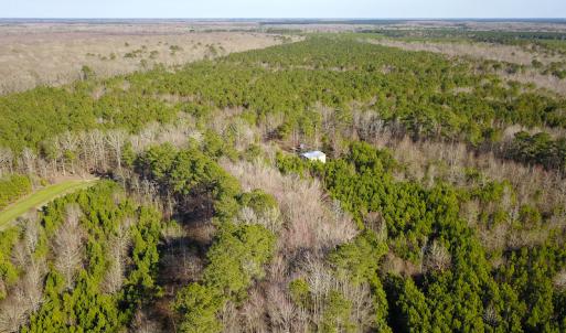 Photo #19 of SOLD property in Off Arrow Lane, Lewiston, NC 225.0 acres