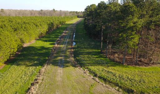 Photo #21 of SOLD property in Off Arrow Lane, Lewiston, NC 225.0 acres
