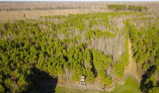 Photo #22 of SOLD property in Off Arrow Lane, Lewiston, NC 225.0 acres