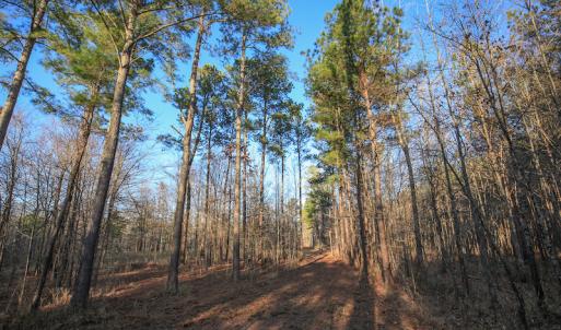 Photo #31 of SOLD property in Off Arrow Lane, Lewiston, NC 225.0 acres