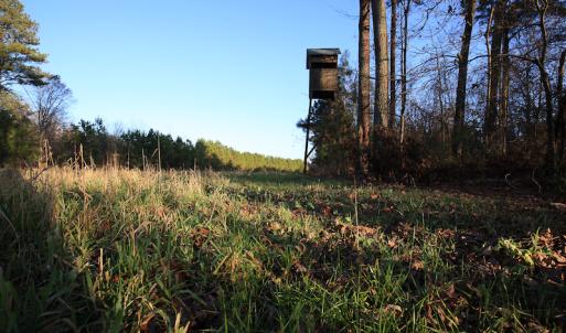 Photo #32 of SOLD property in Off Arrow Lane, Lewiston, NC 225.0 acres