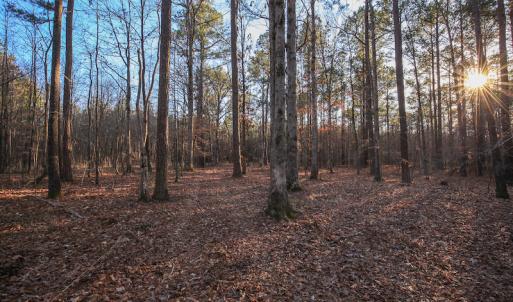 Photo #33 of SOLD property in Off Arrow Lane, Lewiston, NC 225.0 acres