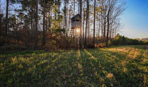 Photo #34 of SOLD property in Off Arrow Lane, Lewiston, NC 225.0 acres